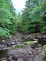 Lonely Creek